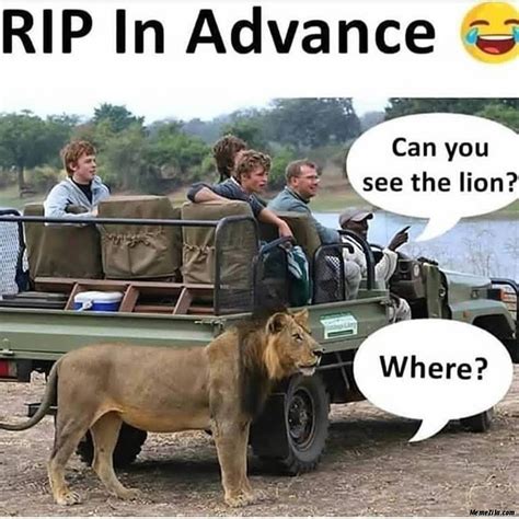 Elon musk, snoop dogg and gene simmons have tweeted about the cryptocurrency recently. Lion Memes - MemeZila.com