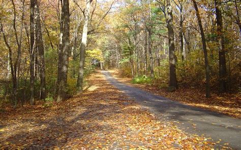 10 Best Hikes In Rhode Island For Fall Foliage