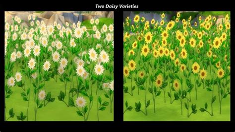 Early Spring Fields Of Wildflowers By Snowhaze At Mod The Sims Sims 4