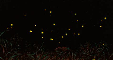 Fireflies  Find And Share On Giphy