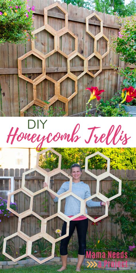 Begin Using These Ways To Assure An Incredible Experience Diy Garden