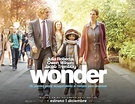'Wonder', un dulce navideño hecho película