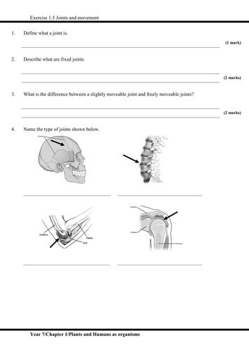 Igcse Plants And Humans As Organisms Skeletal System Joints