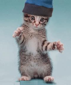 Gambar lukisan kartun kucing comel kucingcomel com. kucing: Wallpaper Seluler Kucing Lucu Gif