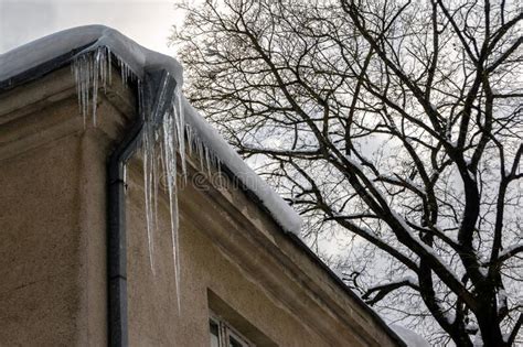 Sharp Icicles Hanging On The Edge Of The Roof Melting Snow Forms