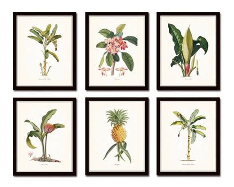 Botanical Print Set No 13 Tropical Botanical Prints Giclee
