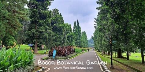 Bogor Botanical Garden The Best Park For Picnic And Learning Botany