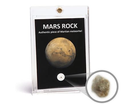 Mars Rock Authentic Piece Of Martian Meteorite The Green Head