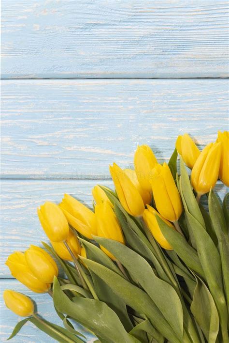 Bouquet Of Beautiful Yellow Tulips On A Light Blue Background Stock