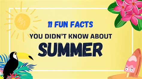 11 Amazing Summer Facts You Didnt Know Must Check 3 Youtube