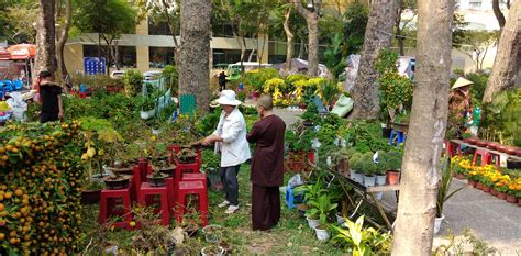Free Images : vietnam, saigon, ho chi ming city, flowers, market