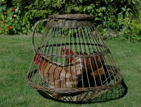 Chicken Basket Basket Basket Weaving Diy Basket Weaving