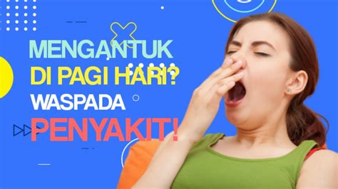 Sering Ngantuk Di Pagi Hari Ternyata Ini Penyebabnya Youtube