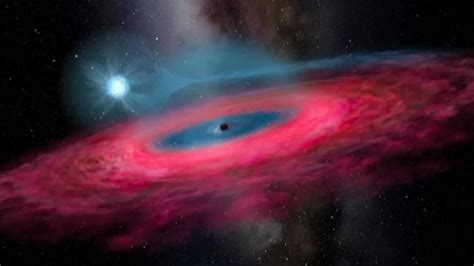 Newly Discovered Stellar Black Hole So Big It ‘shouldnt Even Exist