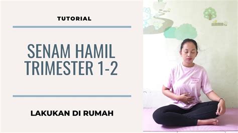 Panduan Mudah Senam Hamil Trimester 1 2 Di Rumah Youtube