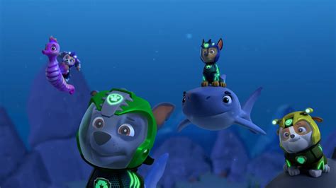 Aqua Pups Pups Save The Whale Patrollerquotes Paw Patrol Wiki Fandom