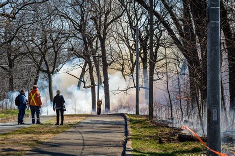 High Park Was Just Set On Fire