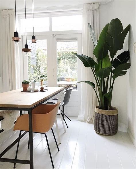 26 Gorgeous Interior Design With Indoor Plants Living