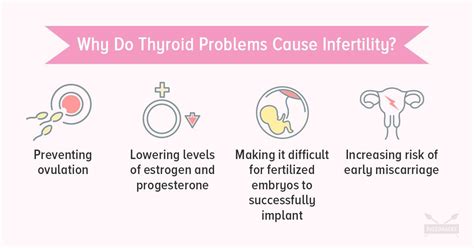 Why Thyroid Problems Cause Infertility And How To Fix It
