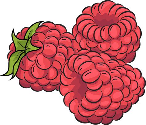 Raspberries Clipart Free Download Transparent Png Creazilla