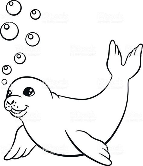 Exclusive Picture Of Seal Coloring Pages