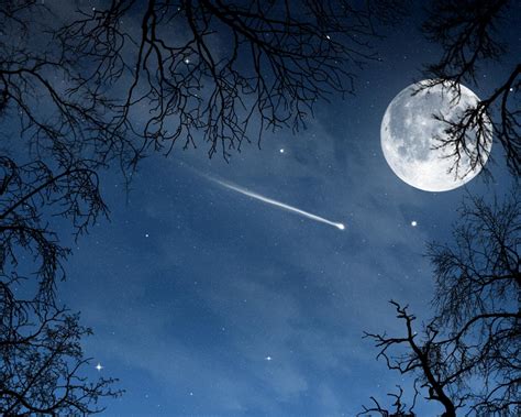 Пейзаж ночь луна месяц звёзды деревья природа обои для рабочего