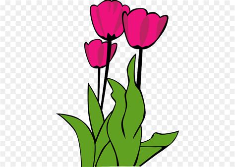 Tulip Bunga Kartun Gambar Png