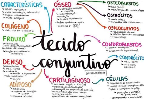 Mapa Mental Tecido Conjuntivo Ci Ncias