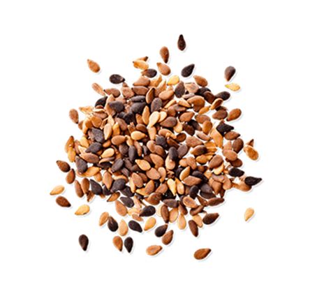 Sesame Seeds Png Pic Png All Png All