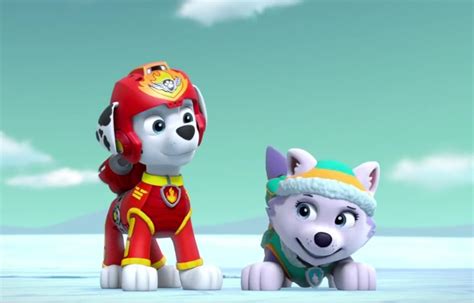 Marshall And Everest Paw Patrol Animated Couples Photo 40130987