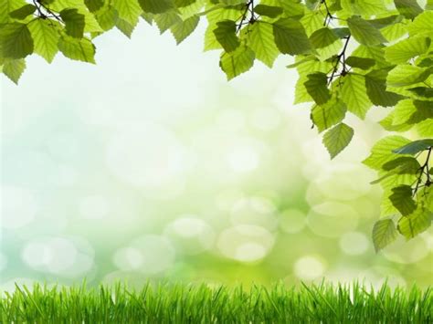 Beautiful Green Grass Free Ppt Backgrounds For Your Powerpoint Templates