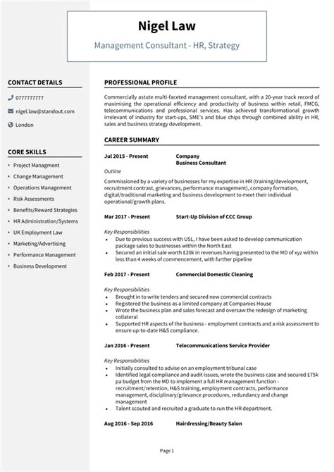 4 Consultant Cv Examples Guide Get Noticed