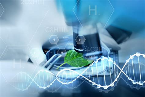What Are The Areas Of Biotechnology College Rank
