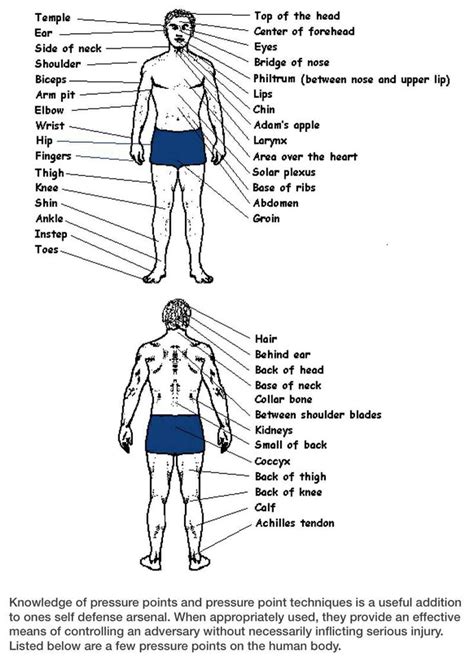 Pressure point fighting or knockout pressure points is a subject that is shrouded in mystery and intrigue. Important pressure points to know for self defense ...
