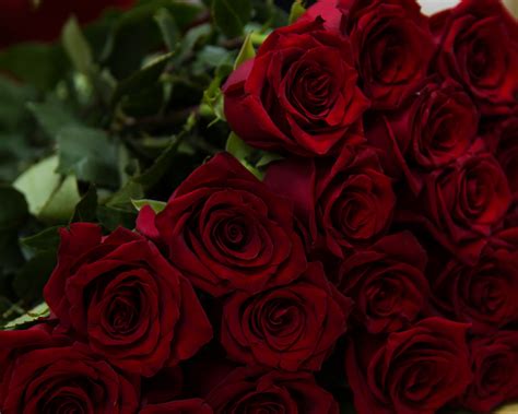 Download Wallpaper 1280x1024 Beautiful Flowers Red Roses Standard 5