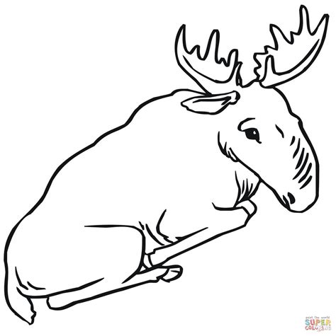 Cute Moose Drawing At Getdrawings Free Download