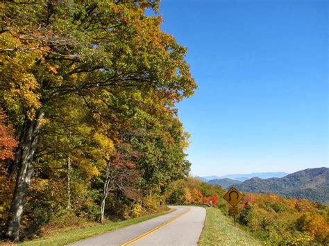 Femme Au Foyer Autumn On The Blue Ridge Parkway