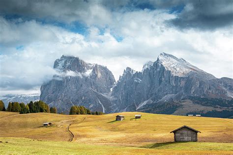 Meadow Field And The Dolomiti Rocky Peaks Alpe Di Siusi Seiser Alm