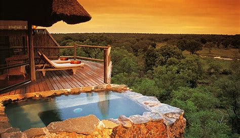 Sabi Sands Game Reserve South African Safari Lodges And Tours