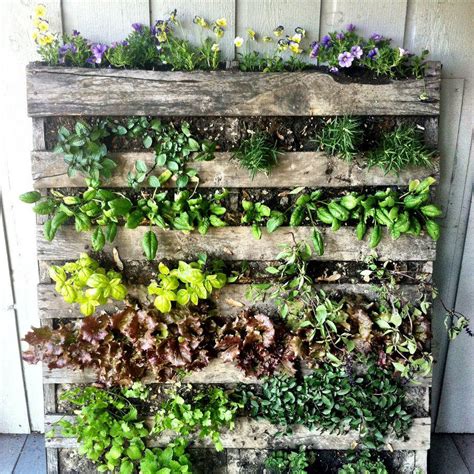 Details of como cuidar cactus pequenos en casa u oficina como cuidar cactus jardineria de invernadero jardin de vegetales. Cómo hacer tu Jardín vertical en casa, 10 ideas fáciles