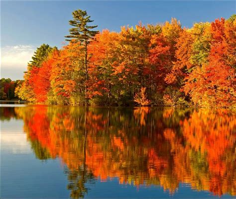 Vermont Maine In The Fall New England Fall Foliage Algonquin Park