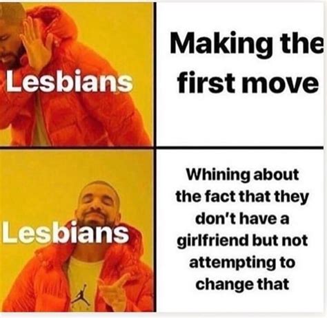 hai i m a new lesbian on reddit and this meme basically describes me r actuallesbians