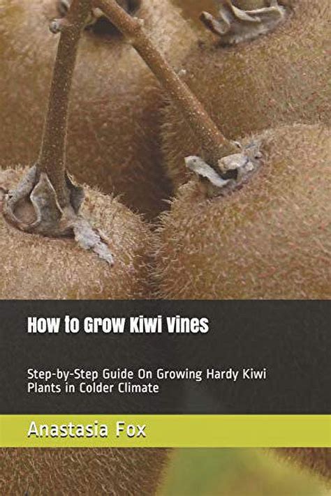 Pre Owned How To Grow Kiwi Vines Step By Step Guide On Growing Hardy