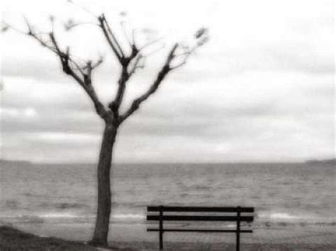 «τὸ rna, πού τὸ λανσάρουν ὡς ἀθῶο, ἔχει τὴ δυνατότητα νὰ μεταφέρει πληροφορίες στὸν ὀργανισμὸ (νὰ τὸν ἐπαναπρογραμματίζει)». Νίκος Παπάζογλου - στιγμές | Doovi