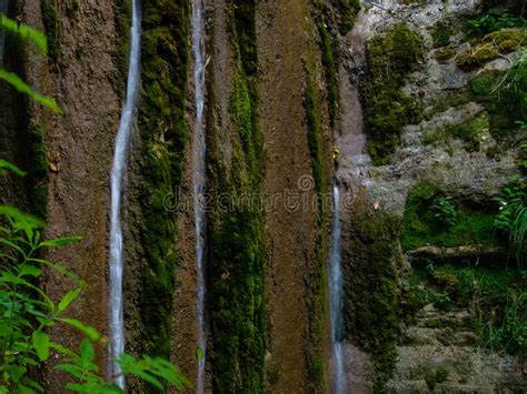 Long Exposure Small Creek Waterfall Silver Water Streams Flow Down On