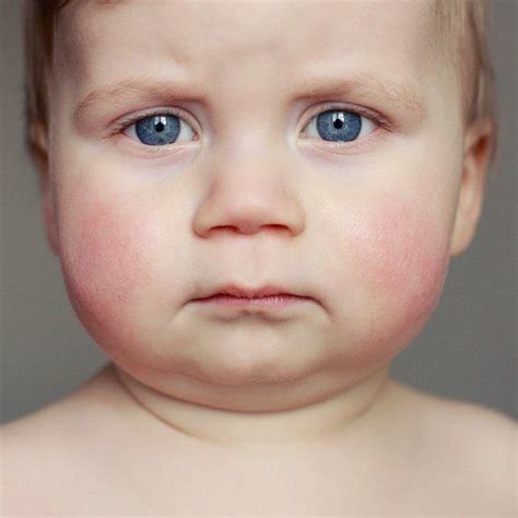 Unimpressed The Age Of Innocence Unusual Pictures Baby Portraits