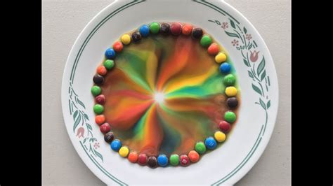 Science Experiment Mandms Rainbow Youtube