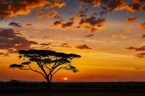 7 Best Places To See A Sunset In Africa Rhino Africa Blog