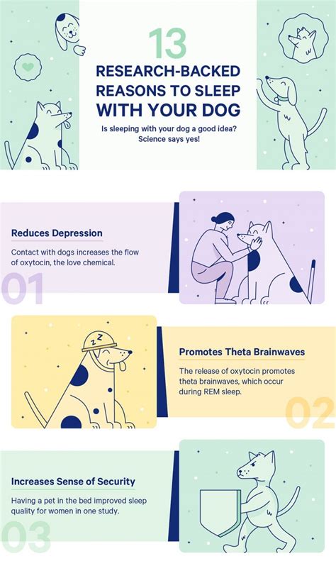 You can build better relationships with people 13 Scientific Benefits of Sleeping With Your Dog | The Bark