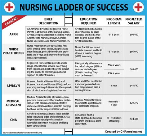 Nursing Ladder Of Successnursing File Nursing File
